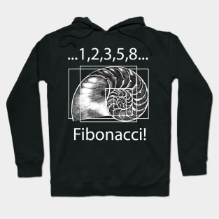 Fibonacci! Hoodie